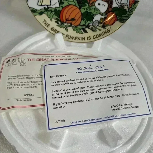 Danbury Mint Peanuts Magical Moments The Great Pumpkin Is Coming Plate NEW - Picture 3 of 5